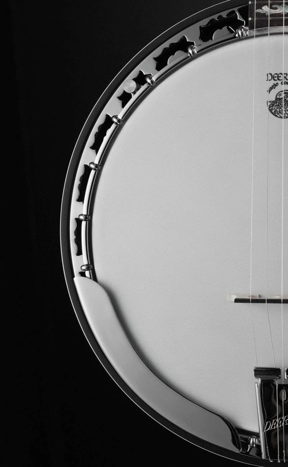 Deering Eagle II 5-String Banjo with Radiused Fingerboard